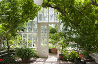 free High Stakesby orangery quotes