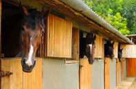 free High Stakesby stable construction quotes